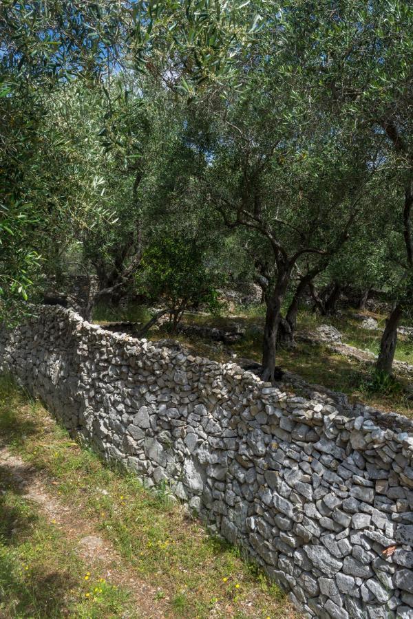 Villa Elaia Suites & Apartments No.2 Gaios Luaran gambar